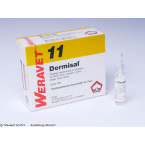Produktbild von DERMISAL 11 Ampullen vet.