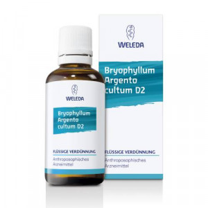 Produktbild von BRYOPHYLLUM ARGENTO cultum D 2 Dilution