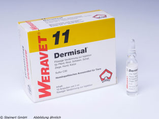 DERMISAL 11 Ampullen vet.